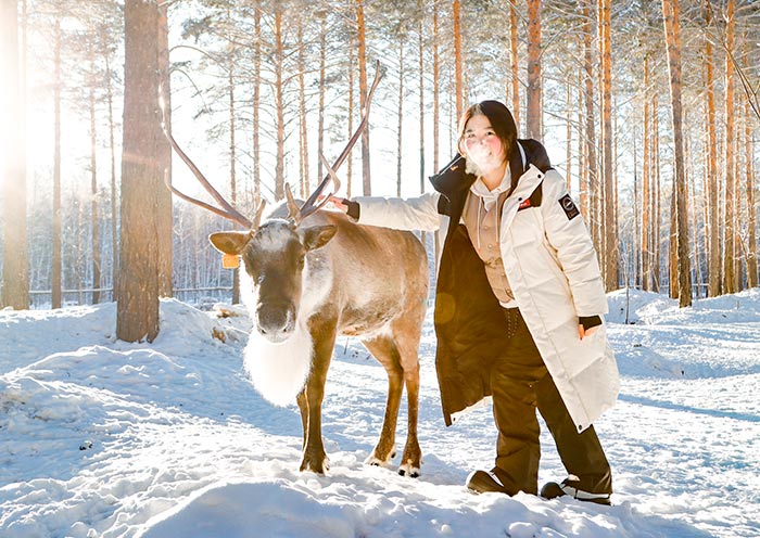 AOT guests visiting the Reindeer Park in Mohe