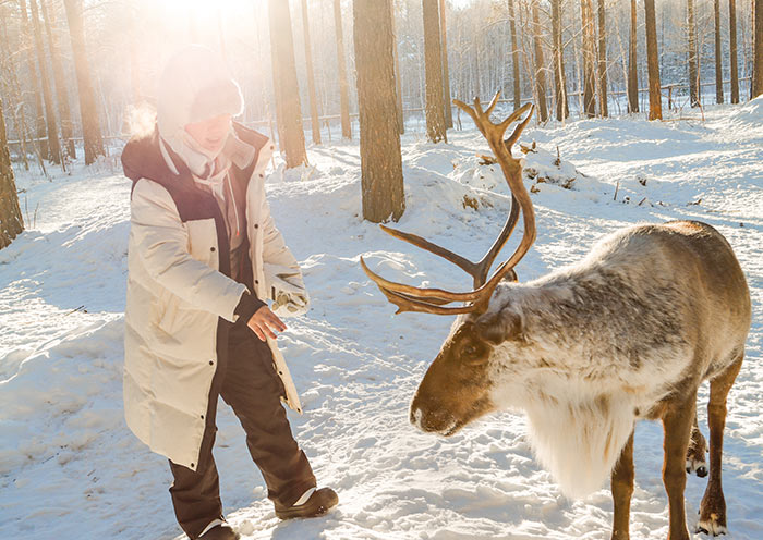 AOT guests visiting the Reindeer Park in Mohe