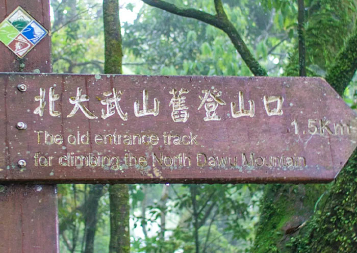 Beidawu Mountain, One of Taiwan's Tallest Peaks for Cloud Hikes