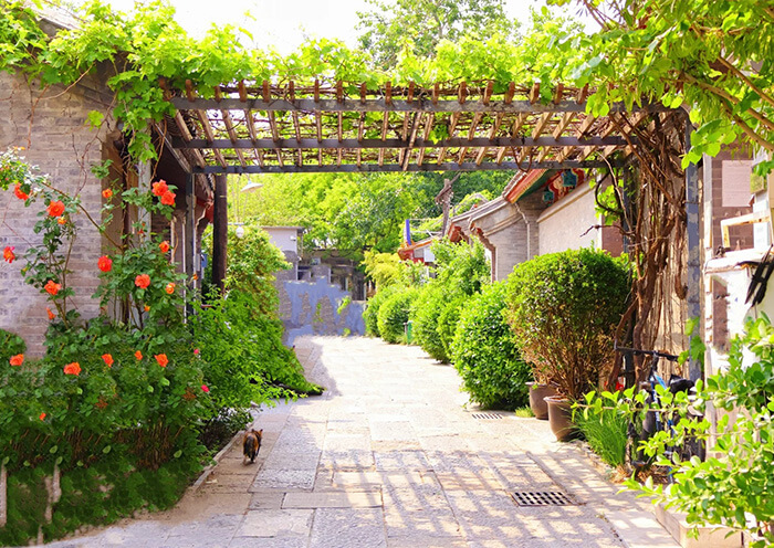 Beijing Caochang Hutong