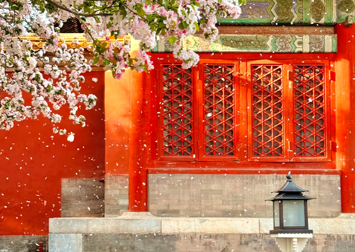 Palace of Beijing Forbidden City Palace of Beijing Forbidden City