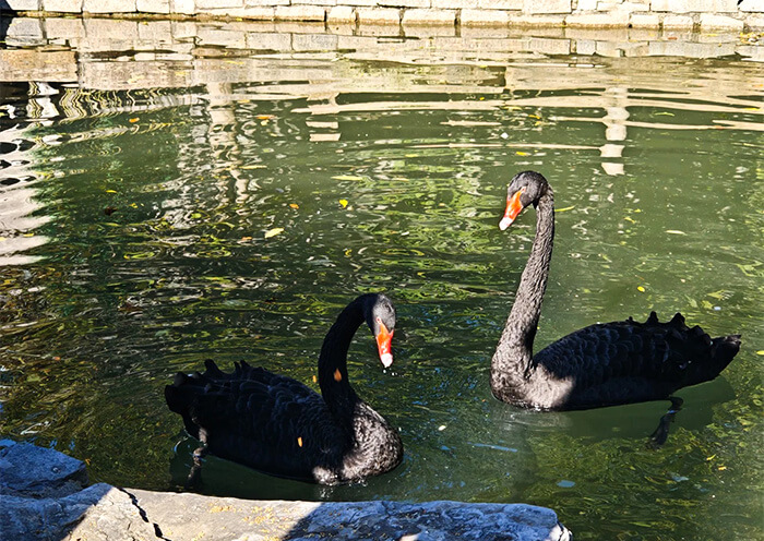 Beijing Sanlihe Park