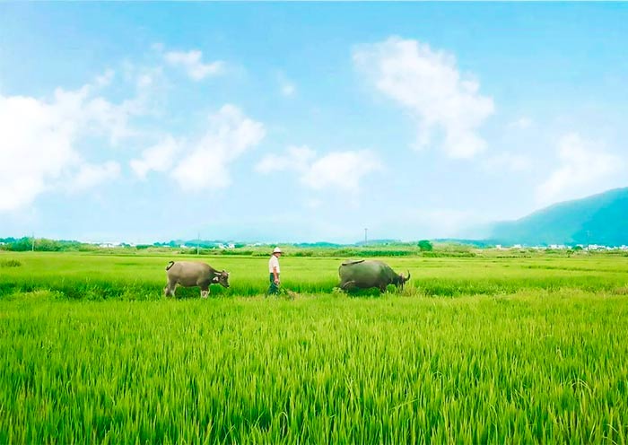 4 Days Huangshan Relaxing Tour 