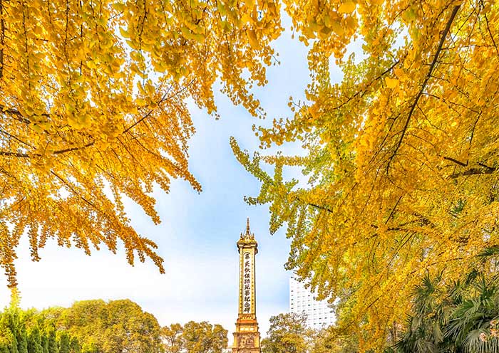 Autumn in Chengdu