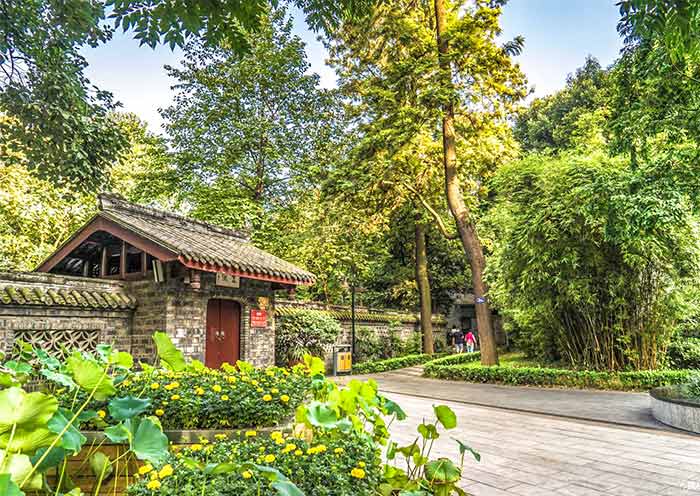 Chengdu in Spring