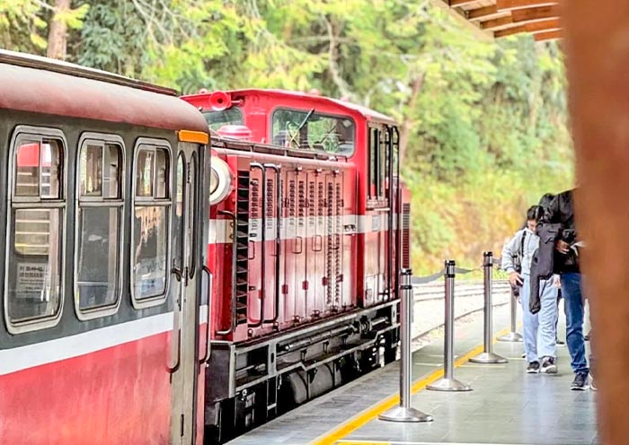 Chiayi to Alishan Forest Railway