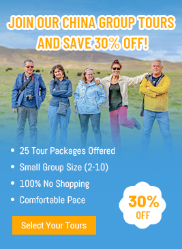 panda tours china china group tours 2023/2024