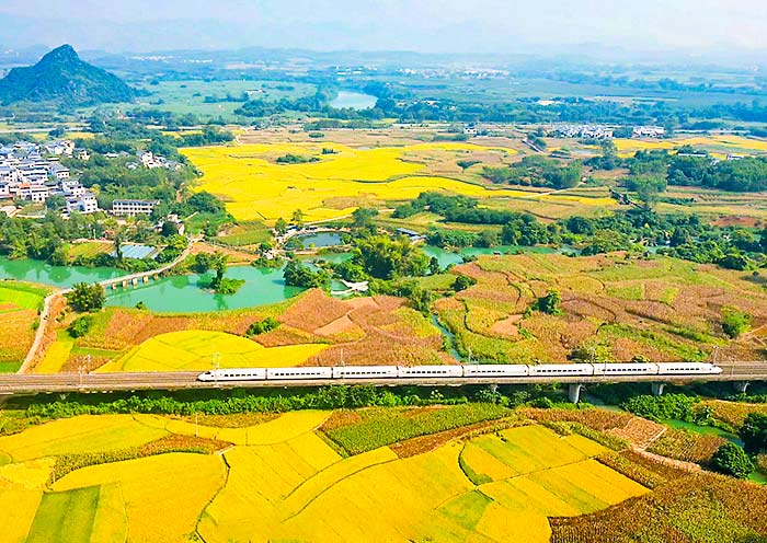 Scenic China High Speed Train Journey
