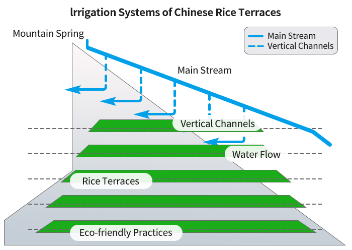 How Irrigation System of China Rice Terraces Works