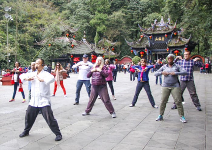Qingcheng Kung Fu, Chinese Martial Arts