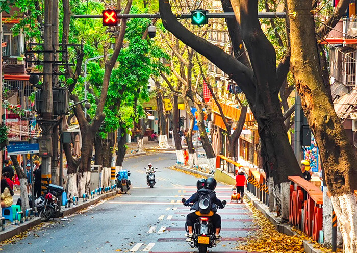 Chongqing Autumn