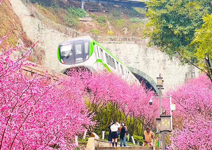 Chongqing Spring