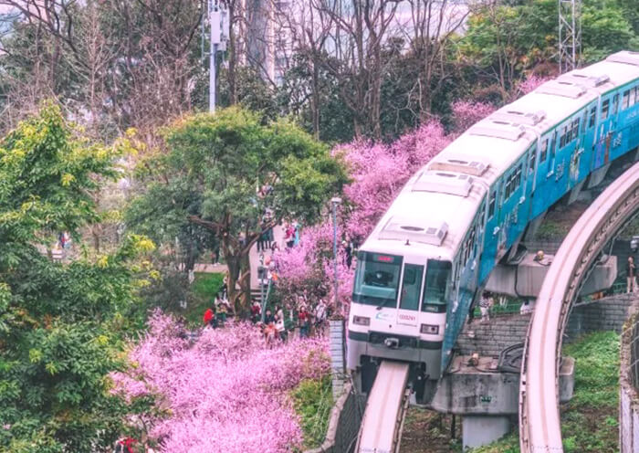 Chongqing Spring