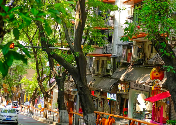 Chongqing Summer