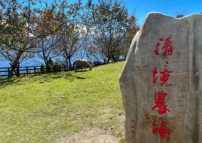 Cingjing Farm Cingjing Farm