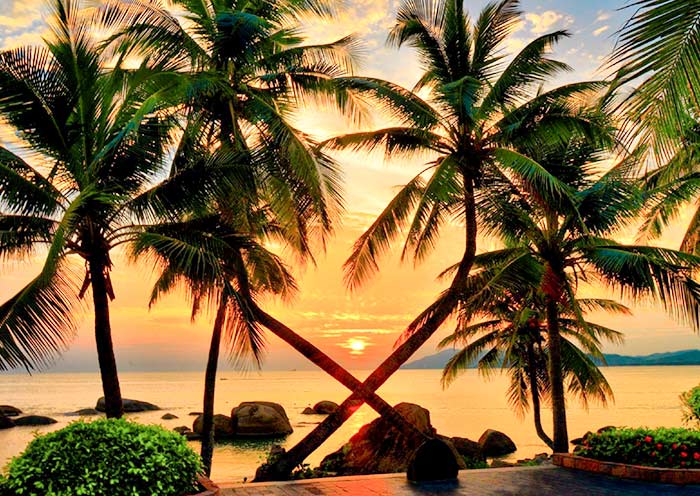 Coconut Dream Corridor, Sanya