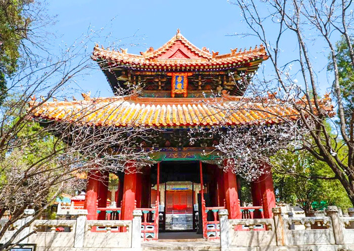 Confucius Apricot Altar