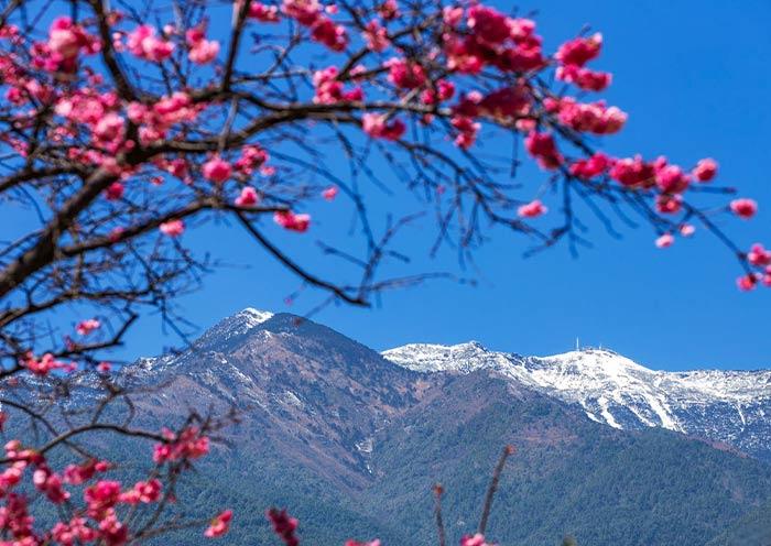 Spring View of Cangshan Mountain, Dali