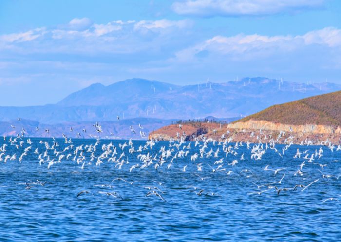  Erhai Lake