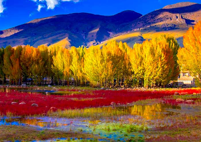Sangdui Red Grassland, Daocheng Yading