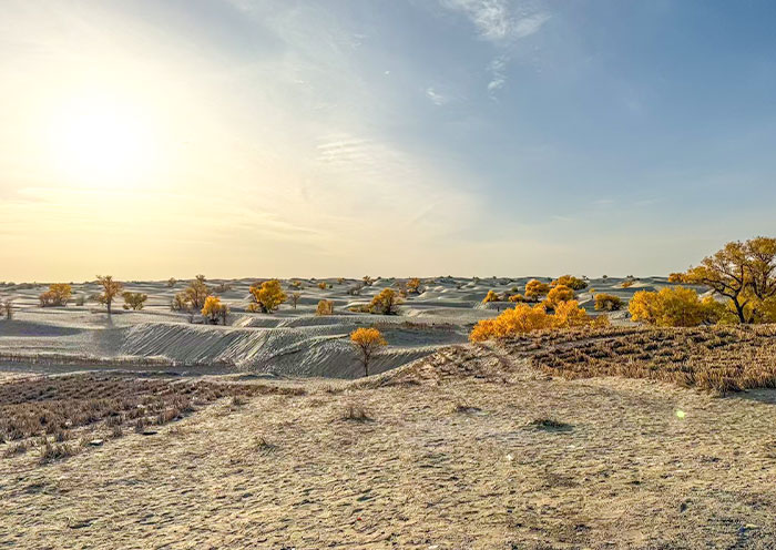 Taklamakan Desert Road