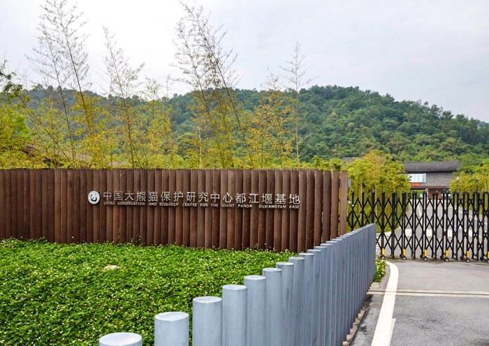 2 Day Dujiangyan Panda Volunteer Tour & Mount Qingcheng Kung Fu Lesson