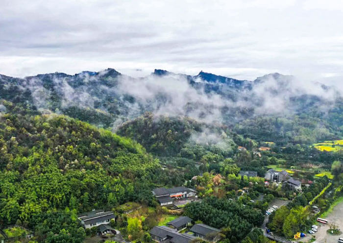 1 Day Dujiangyan Panda Volunteer Tour with a Visit to Kung Fu Panda Village