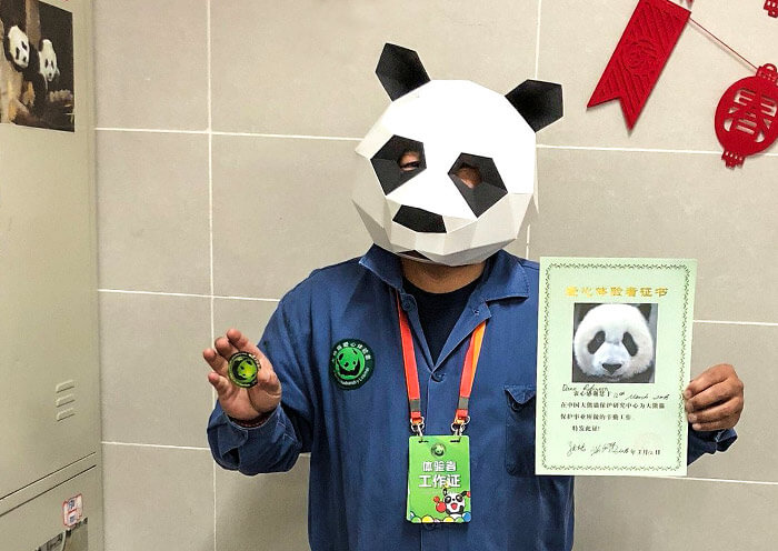 2 Day Dujiangyan Panda Volunteer Tour & Mount Qingcheng Kung Fu Lesson