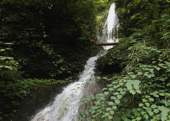 View Feiquan Gorge in Qingcheng Back Mountain