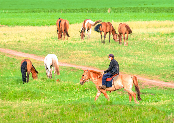 Grasslands in the Clouds Scenic Area