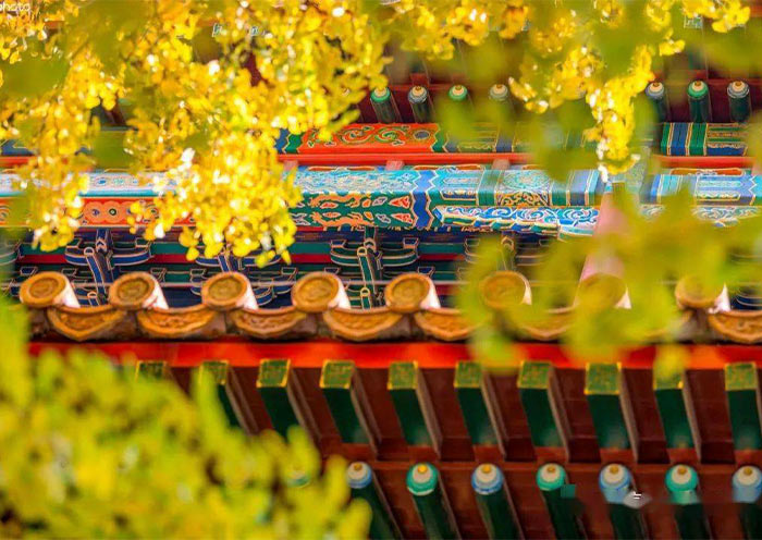 Forbidden City in Autumn