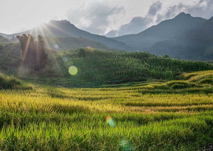 Sunrise, Youxi Rice Terraces, Fujian