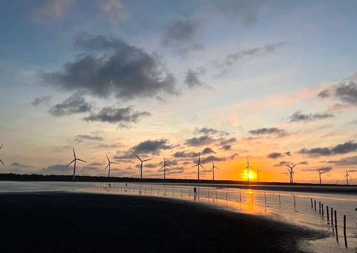 Gaomei Wetland Gaomei Wetland