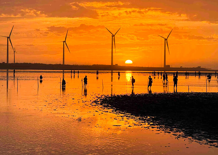 Gaomei Wetland