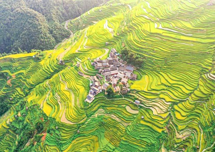 Gaoyao Terrace Fields
