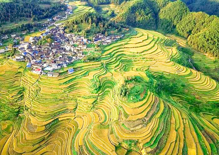Gaoyao Terrace Fields