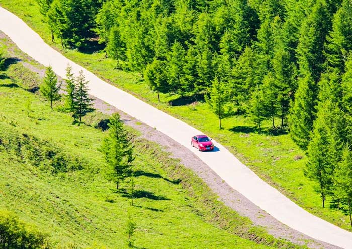 Bashang Grassland Driving