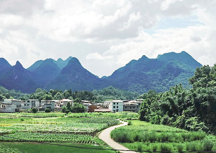 Guangzhou to Chengdu High Speed Train Scenery