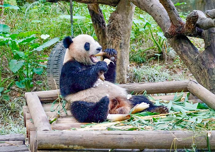 Guangzhou tour