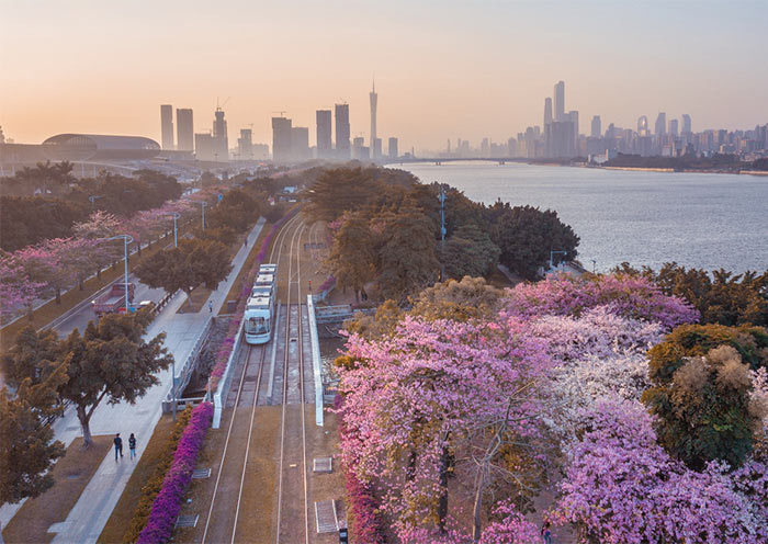 Guangzhou in Spring