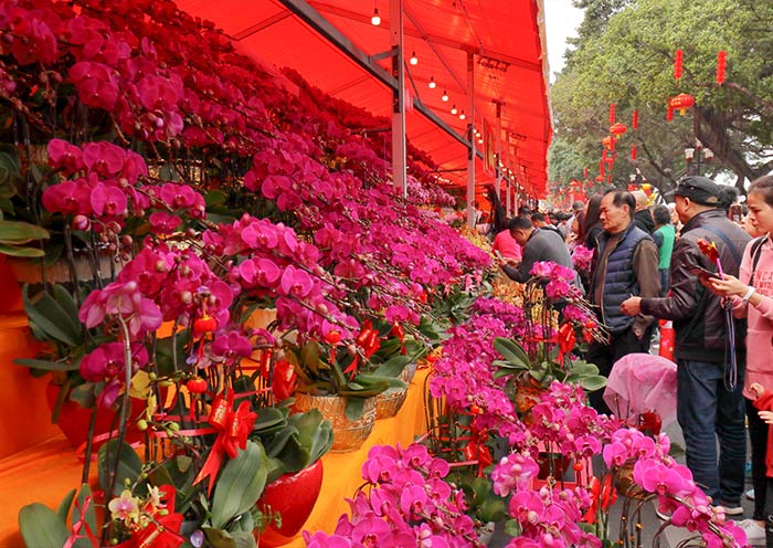 Guangzhou tour