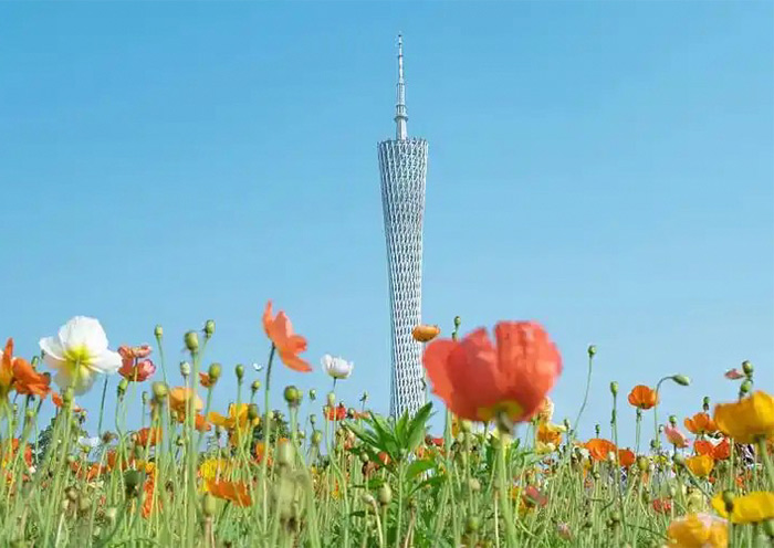 Guangzhou Tower in Spring