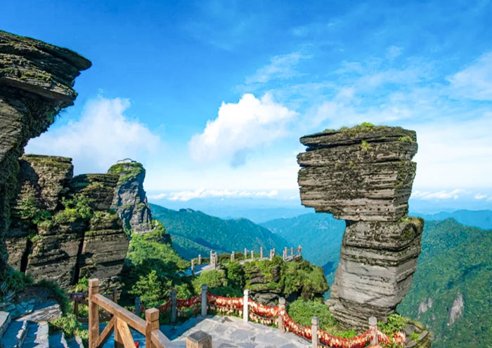 Fanjingshan Mushroom Stone