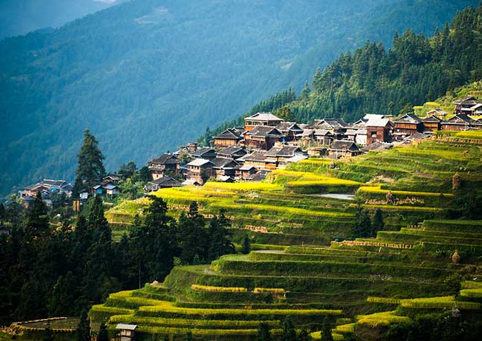 Guizhou Jiabang Rice Terraces