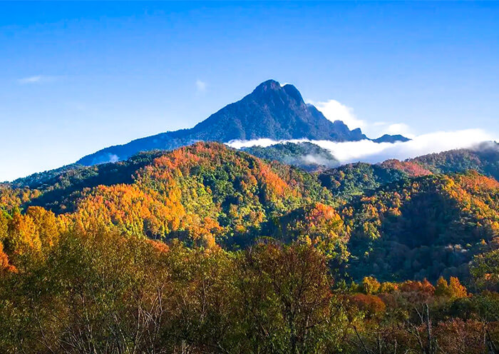 Hainan Tropical Rainforest National Park