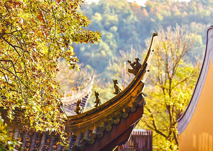 1 Day Hangzhou Cultural Tour from Shanghai by High Speed Train 1 Day Hangzhou Cultural Tour