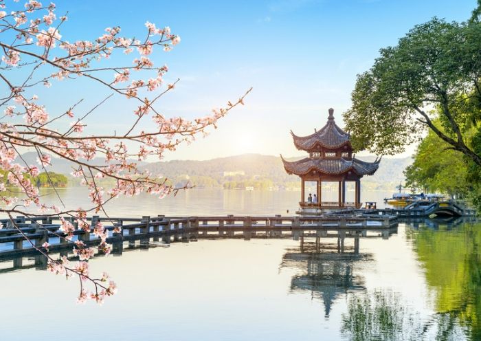 1 Day Paradise Hangzhou Cultural Tour from Shanghai by High Speed Train