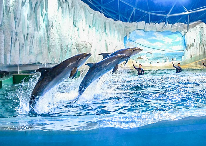 Harbin Polarland