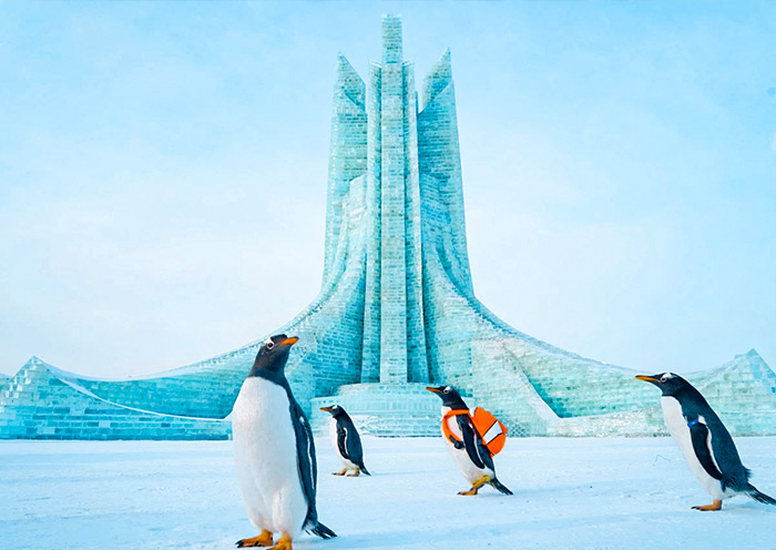 Harbin Polarland