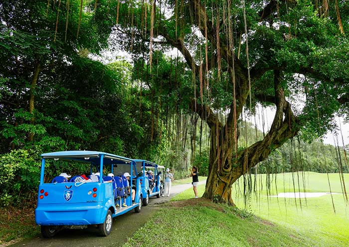 Carts, Hong Kong Golf Club - Fanling
